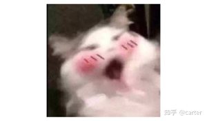 图片[2]-如何挑选合适好用的飞机杯？新手飞机杯选购指南-懂杯姬 - 专业透明的飞机杯动漫名器测评与品牌推荐