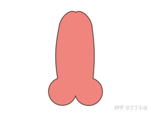 图片[6]-1分钟教你根据丁丁大小选择合适的飞机杯！-懂杯姬 - 专业透明的飞机杯动漫名器测评与品牌推荐