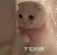 图片[2]-新手怎么挑选飞机杯？飞机杯选购技巧推荐-懂杯姬 - 专业透明的飞机杯动漫名器测评与品牌推荐