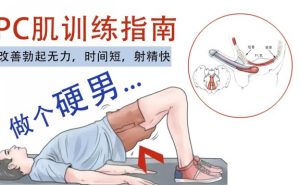 提高男人性能力的PC肌（Kegel）训练正确流程，想要下面硬，持久，猛男必备-懂杯姬 - 专业透明的飞机杯动漫名器测评与品牌推荐