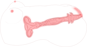 图片[2]-RQS枫花恋中高刺激测评–新手进阶使用-懂杯姬 - 专业透明的飞机杯动漫名器测评与品牌推荐
