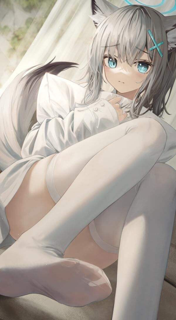 P站pixiv高赞高清原图分享（348）-懂杯姬 - 专业透明的飞机杯动漫名器测评与品牌推荐