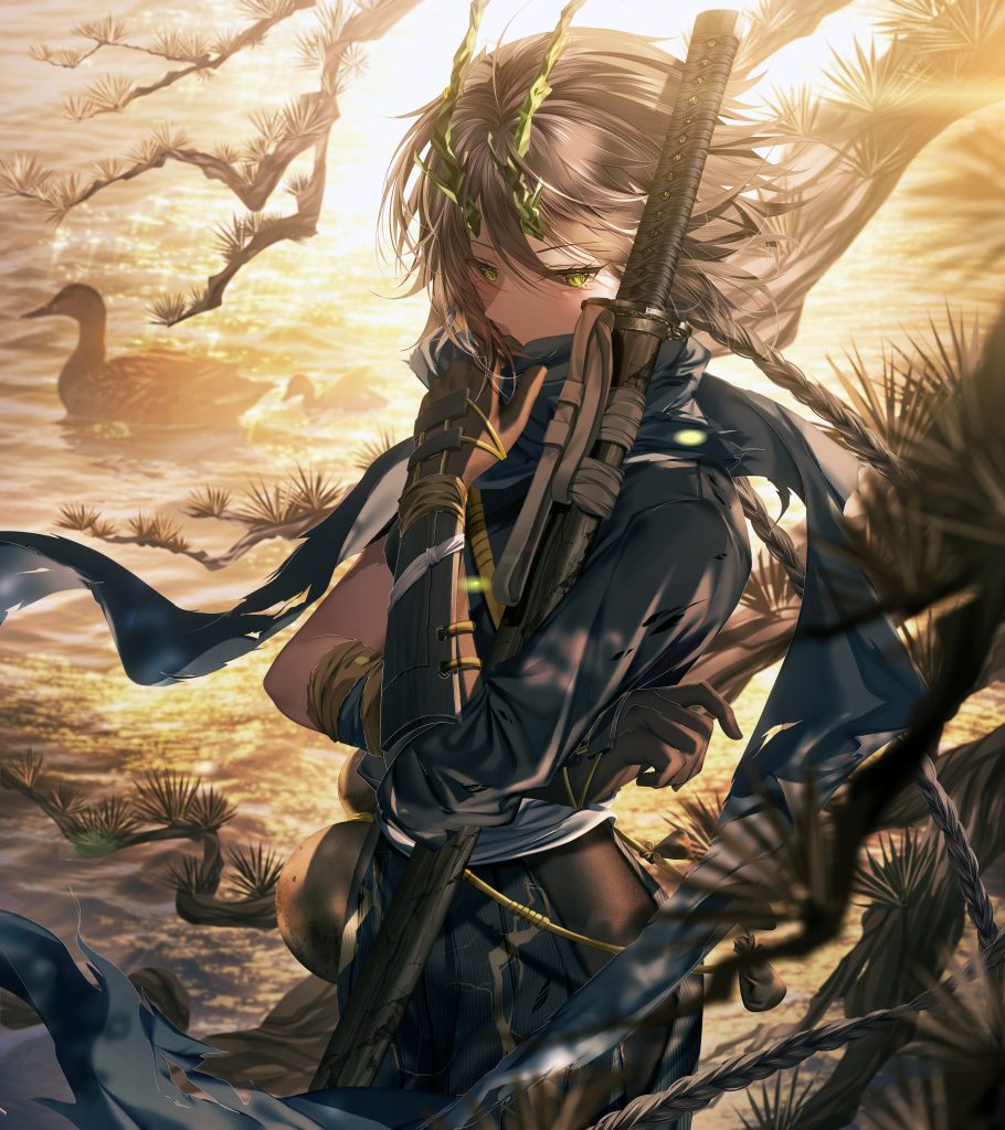 ae5662532820240529162759